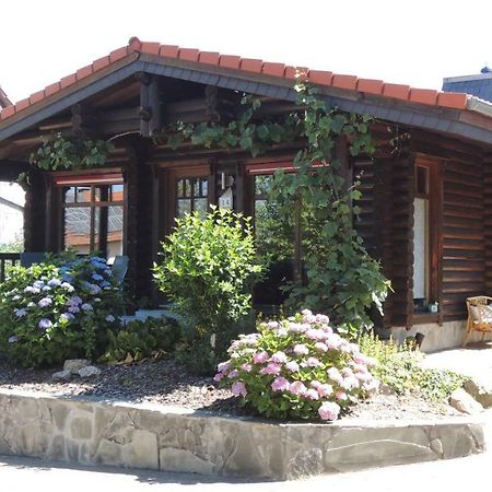 Ferienwohnung Blockhaus Juka Vinningen 외부 사진
