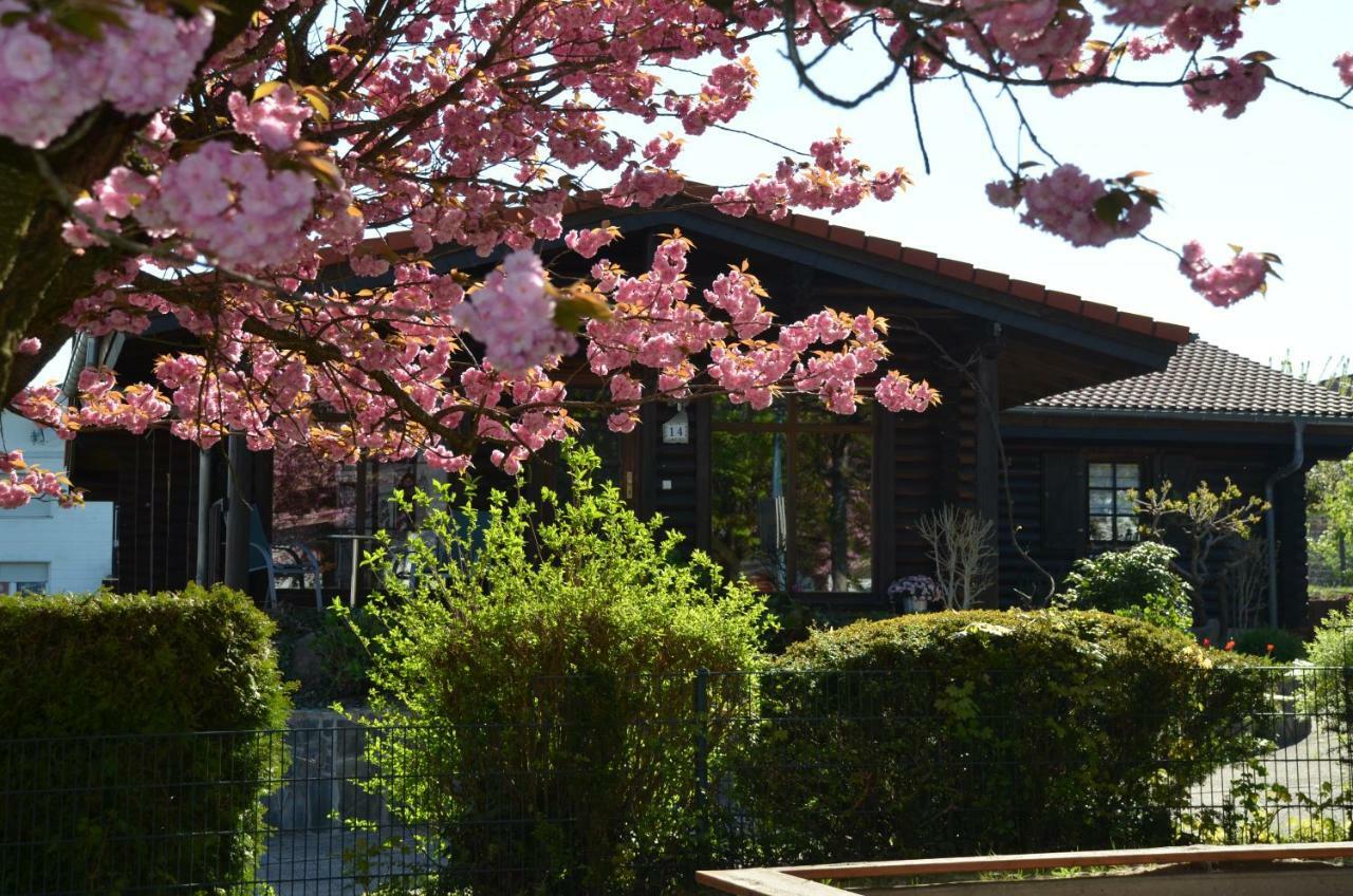Ferienwohnung Blockhaus Juka Vinningen 외부 사진